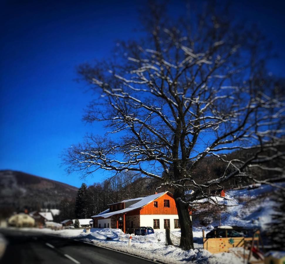 Chata U Cecila Loucna nad Desnou Luaran gambar